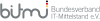 BITMi-Logo-Alternativ (1)